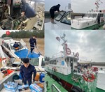 Sôi nổi các hoạt động tháng Thanh niên năm 2024 của Chi đoàn công ty TNHH MTV Hoa tiêu hàng hải khu vực II