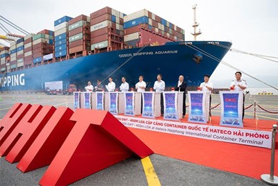 57 năm thực hiện Di chúc của Chủ tịch Hồ Chí Minh : Biến lời Bác dặn thành hành động cụ thể ở Công ty Hoa tiêu hàng hải miền Bắc
